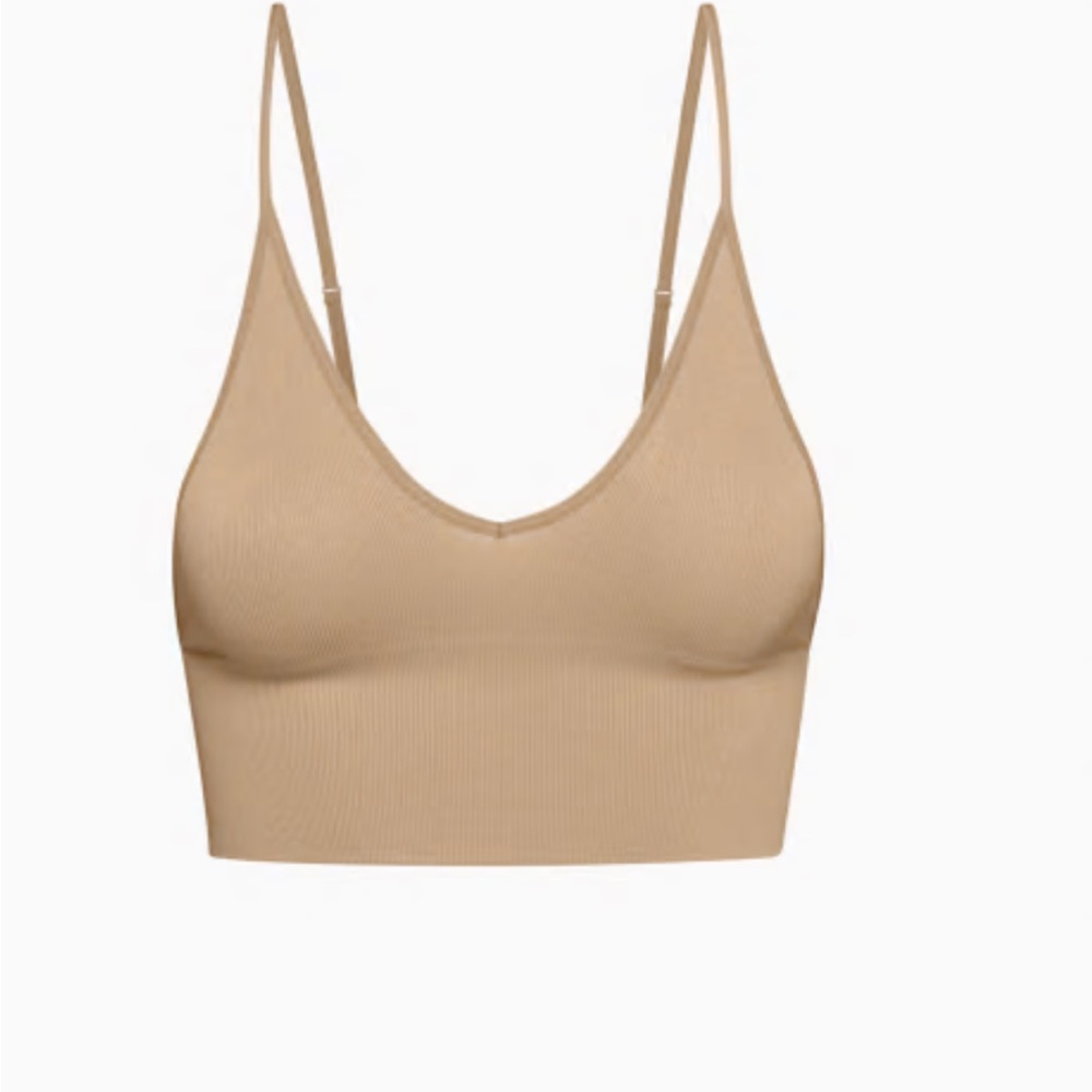 BNWT Aritzia seamless bra, size small.